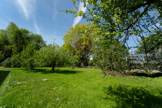 Herrliches Baugrundstück - ab 294.500 €