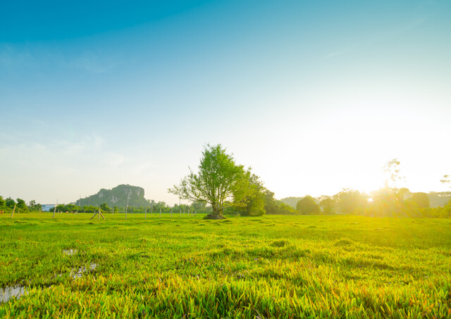 Großes Baugrundstück am Naturschutzgebiet - auch für Doppelhaus