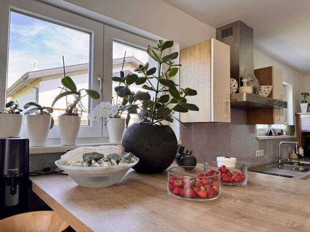 Charmantes Einfamilienhaus mit großem Garten in ruhiger Lage. Zentrumsnahe. Privat Verkauf.