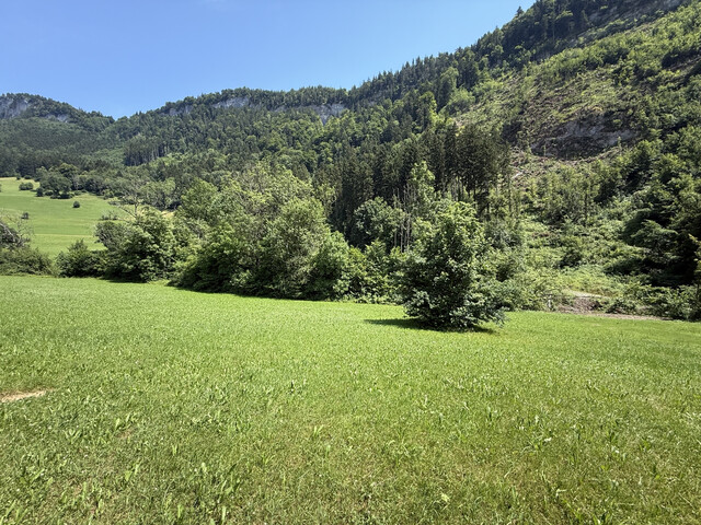 Grundstück  |  Götzner Berg  |  2.525 m²