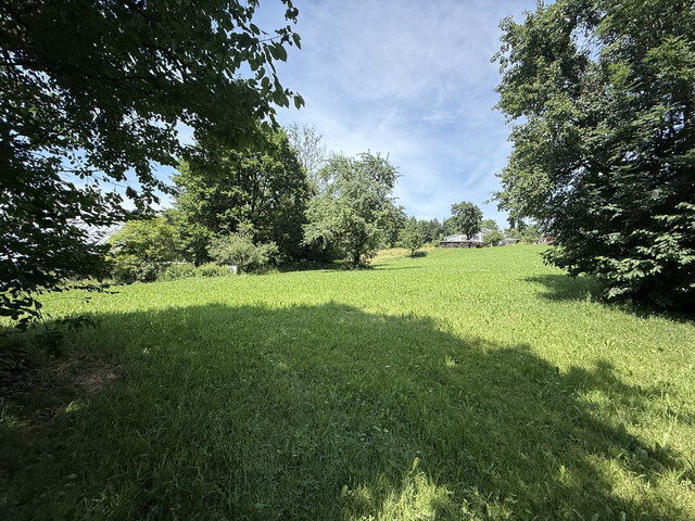 Grundstück  |  Götzner Berg  |  2.525 m²