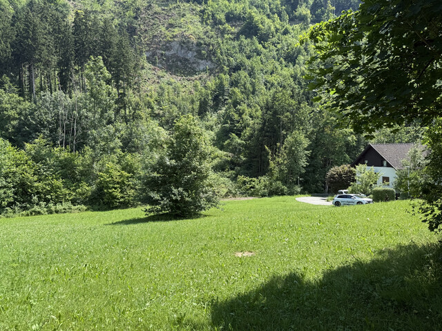 Grundstück  |  Götzner Berg  |  2.525 m²