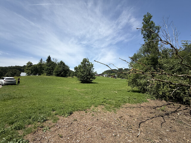 Grundstück  |  Götzner Berg  |  2.525 m²