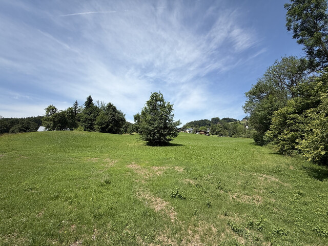 Grundstück  |  Götzner Berg  |  2.525 m²
