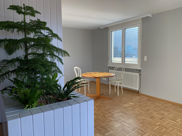 Sonnige Stadtwohnung mit Seesicht und grosser Terrasse, ruhig und zentral