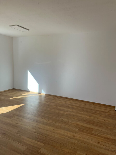 Gemütliches 1-Zimmer-Appartement in Dornbirn-Kastenlangen – Sonnige Ruhelage mit Blick ins Grüne!