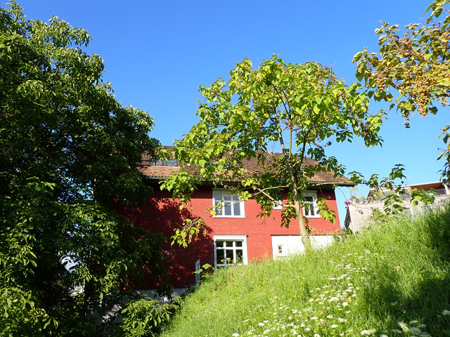 Feldkirch-Tisis …urban, eingebettet im Grünen, ein ganz besonderer Garten und viel Platz…