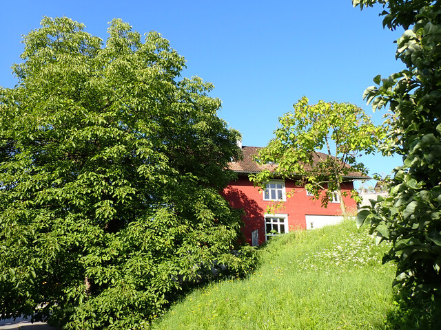Feldkirch-Tisis …urban, eingebettet im Grünen, ein ganz besonderer Garten und viel Platz…