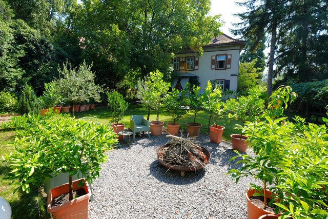 Exklusives Jugendstilhaus: Historischer Charme trifft moderne Eleganz