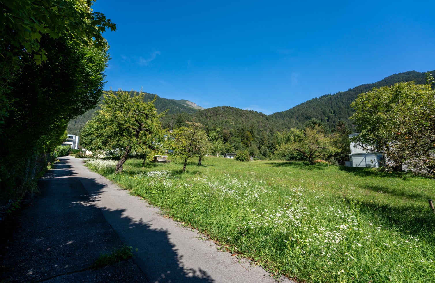 Bludenz Obdorf: Schönes Baugrundstück in leichter Hanglage