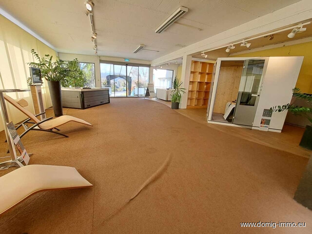 Suchen Mieter für gemeinsame Ausstellungsflächen/ Lagerflächen im Gewerbepark Sulz! (provisionsfrei)