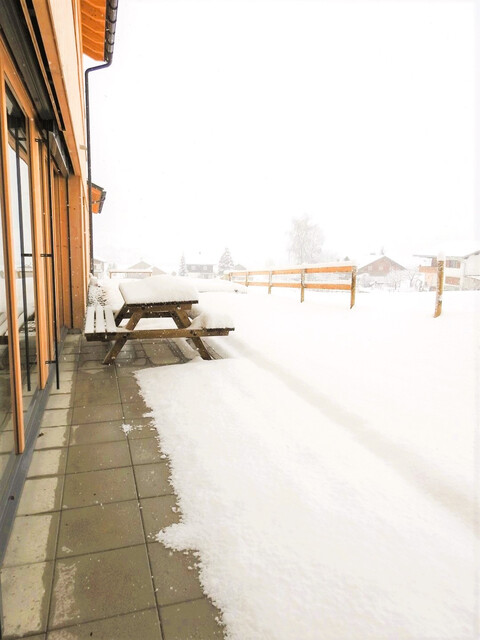 Schöne, möblierte 2-Zimmer-Gartenwohnung in Schoppernau