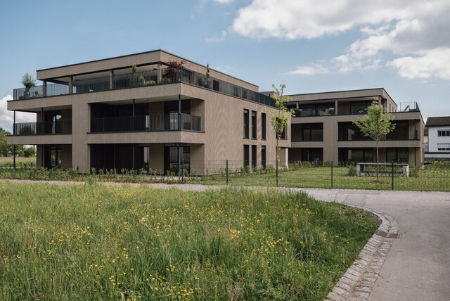 3-Zimmer-Terrassenwohnung in Götzis - Ruhelage / Top A7