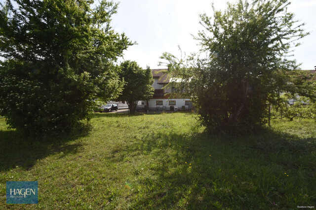 Grundstück in Lustenau Feldkreuz zu verkaufen