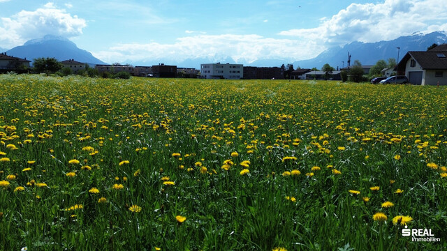 Attraktives Baugrundstück in Klaus (Feldkirch) – 610 m² in hervorragender Lage