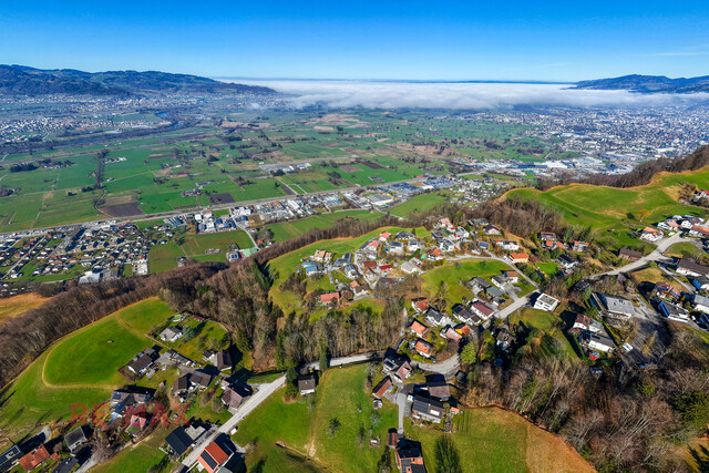 Besondere Gelegenheit: Idyllisch gelegenes Grundstück mit Altbestand in Ruhelage von Hohenems-Reute