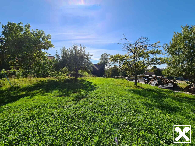 Hörbranz: Baugrundreserve mit Altbestand