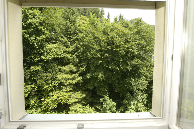 Schöne 2-Zimmerwohnung mit Balkon in Lochau Klausmühle ab August zu verm ieten