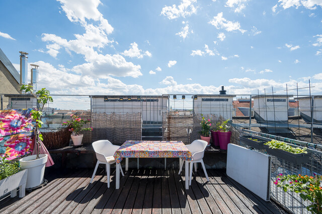 Penthouse-Wohnung in ruhiger Wohnlage