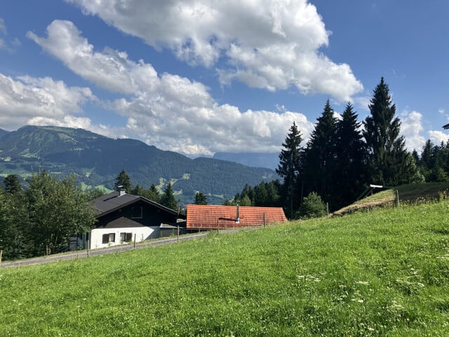 Neu - Bregenzerwald - Traumhaftes Chalet auf der Moosalpe in Egg mit 133m², Garten, Terrasse, Garage und hochwertiger Ausstattung, Ferienwidmung