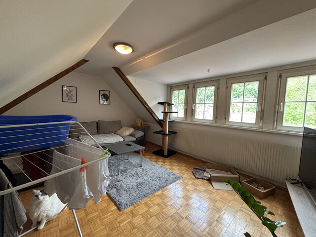 "ohne Provision" gemütliche 3,5 Zimmer Wohnung über 2 Etagen mit Gartenmitbenützung