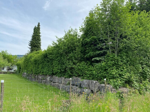 Attraktives bebautes Grundstück  in Bestlage von Wolfurt zu verkaufen