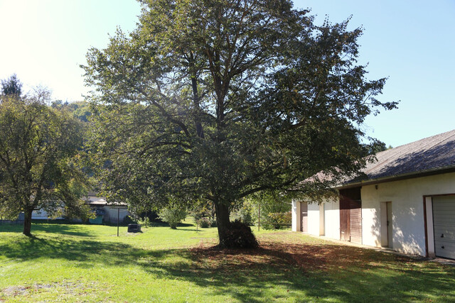 Idyllisches Wohn- und Geschäftshaus in Neustift bei Güssing mit vielen Nutzungsmöglichkeiten!