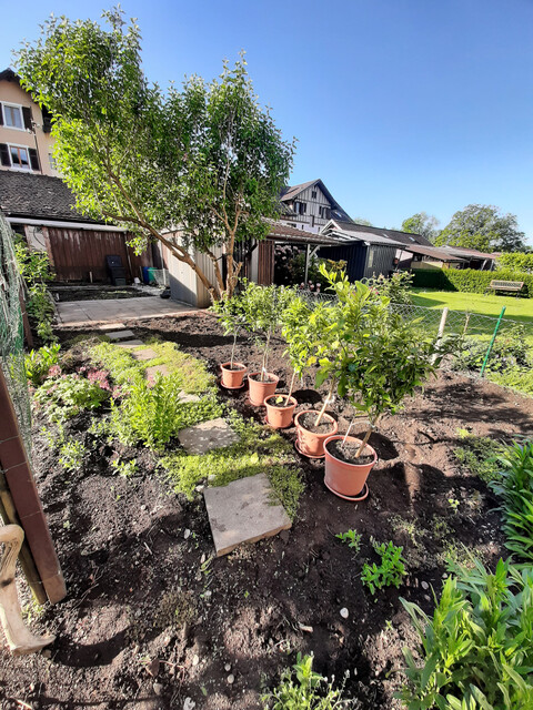 Provisionsfrei  Gemütliche 4-Zimmer-Dachgeschosswohnung  mit Garten