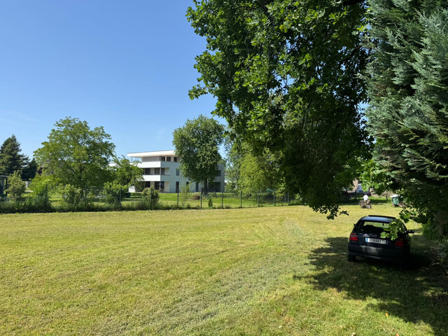 Verpachte ein Grundstück  Grst. nr. 178 in Höchst auf der Hauptstraße