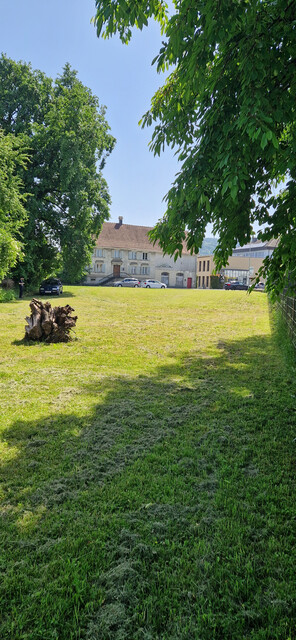 Verpachte ein Grundstück  Grst. nr. 178 in Höchst auf der Hauptstraße