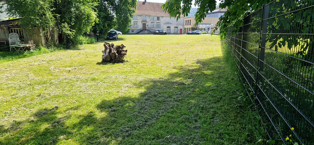 Verpachte ein Grundstück  Grst. nr. 178 in Höchst auf der Hauptstraße