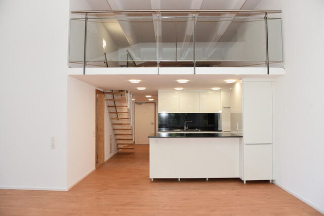 Erstbezug: Tolles Loft mit Blick zur Ill