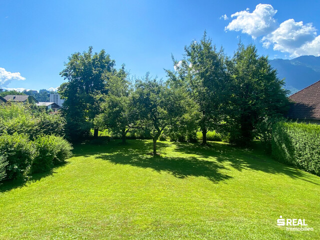 Ein guter Grund für einen Traum