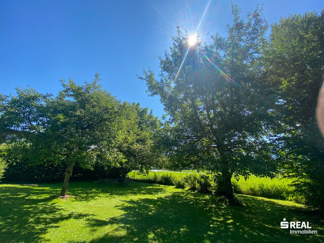 Ein guter Grund für einen Traum