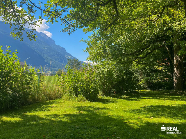 Ein guter Grund für einen Traum