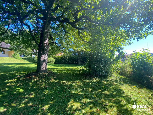 Ein guter Grund für einen Traum