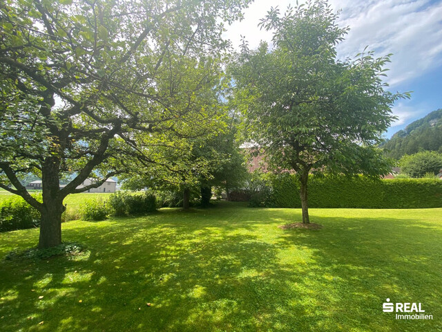 Ein guter Grund für einen Traum