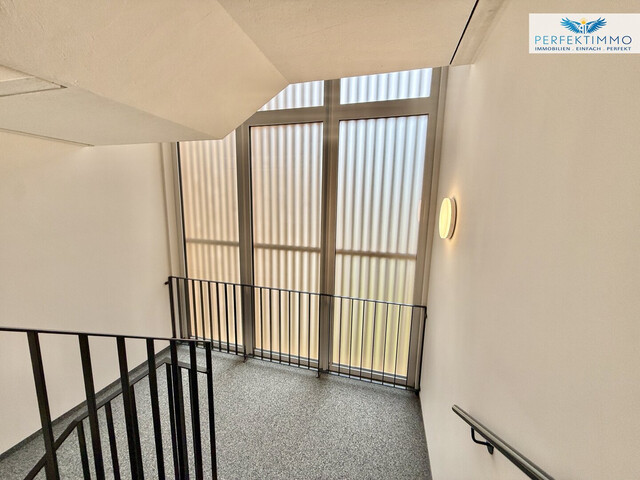 3 Zimmer Wohnung in Hohenweiler - Neubau!