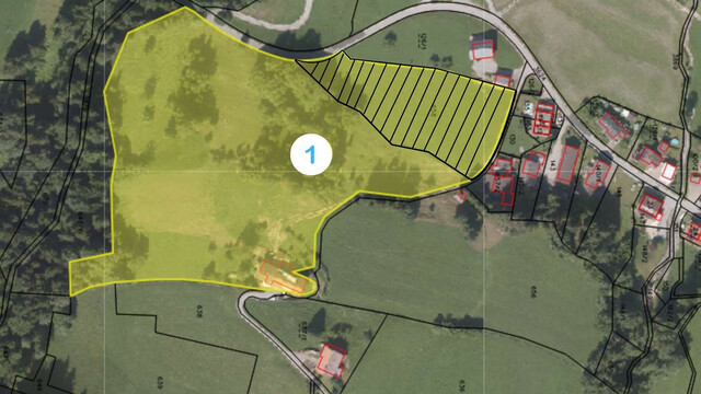 Sulzberg-Thal | Mehrparteienhaus | Großzügiges Anwesen mit 50.012 m²