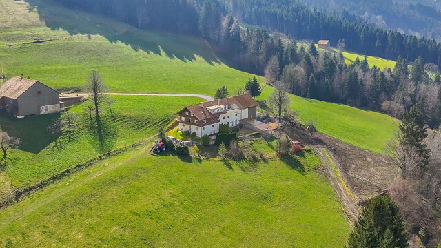 Sulzberg-Thal | Mehrparteienhaus | Großzügiges Anwesen mit 50.012 m²