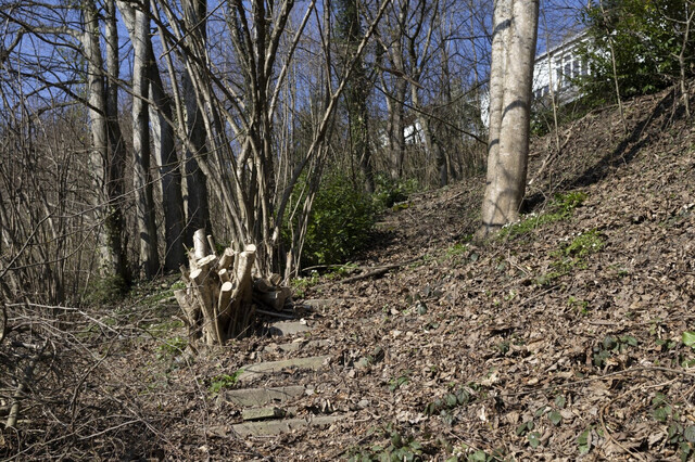 Attraktives Hanggrundstück in Kennelbach zu verkaufen!
