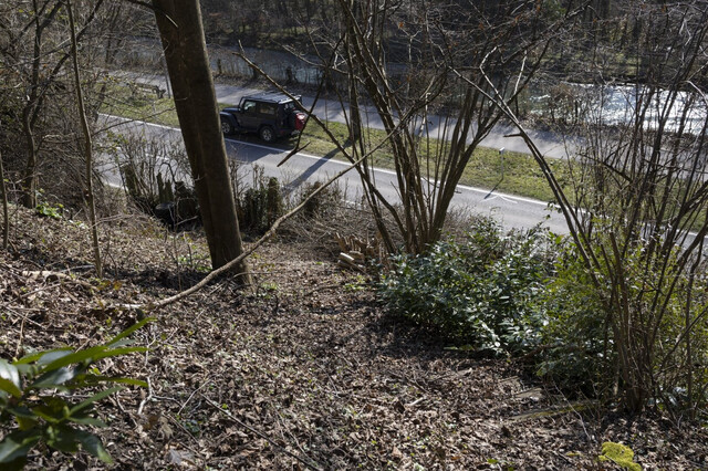 Attraktives Hanggrundstück in Kennelbach zu verkaufen!
