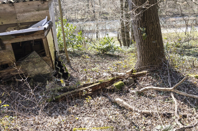 Attraktives Hanggrundstück in Kennelbach zu verkaufen!