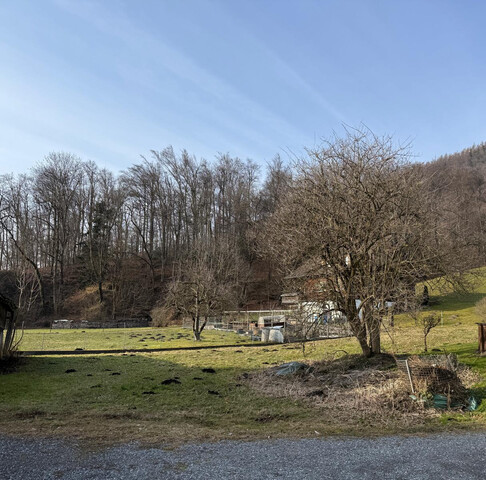 Neue Doppelhaushälfte mit 145 m² inkl. Studio! Inkl. Grundstück € 608.000.- plus WBF!