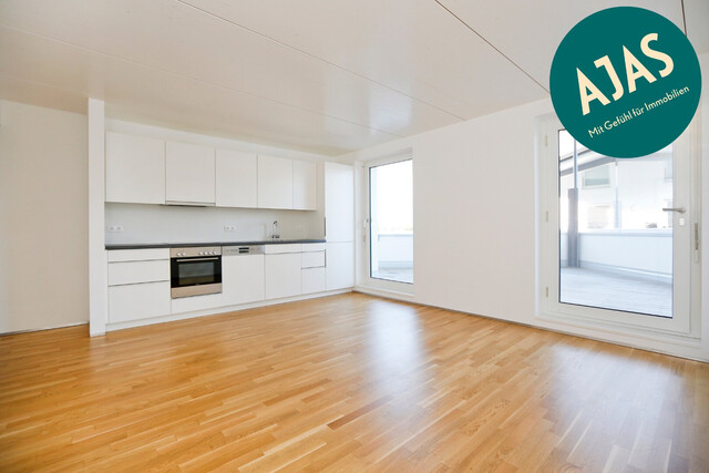 Helle moderne 4-Zi-Wohnung, 2-geschossig  mit großer Terrasse