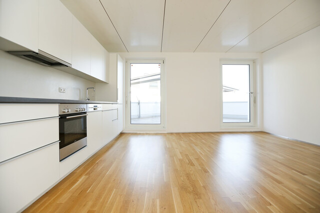 Helle moderne 4-Zi-Wohnung, 2-geschossig  mit großer Terrasse