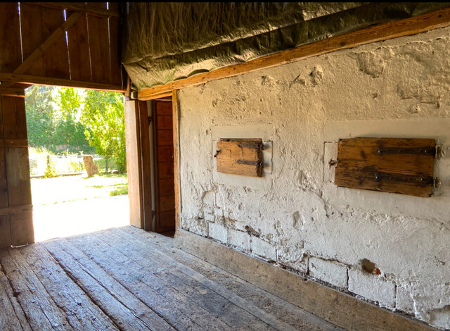 Charmantes Rheintalhaus mit vielseitigem Potenzial – Ihr neues Zuhause in Rankweil