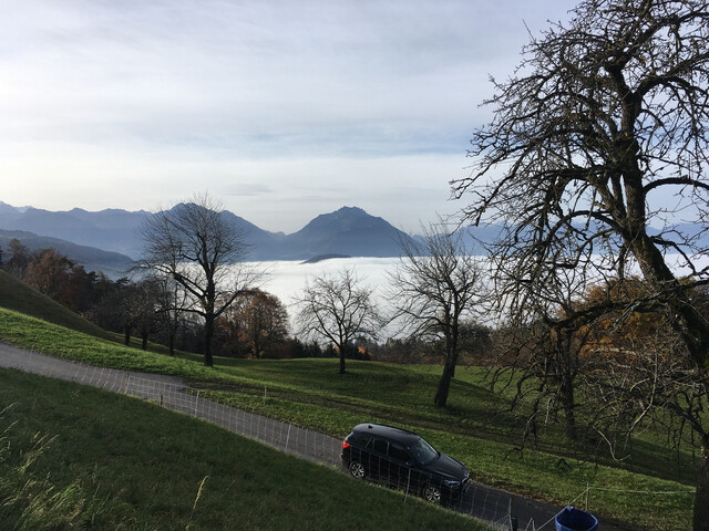 Tolles Grundstück in Hanglage 