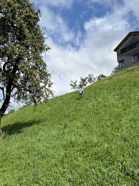 Tolles Grundstück in Hanglage 