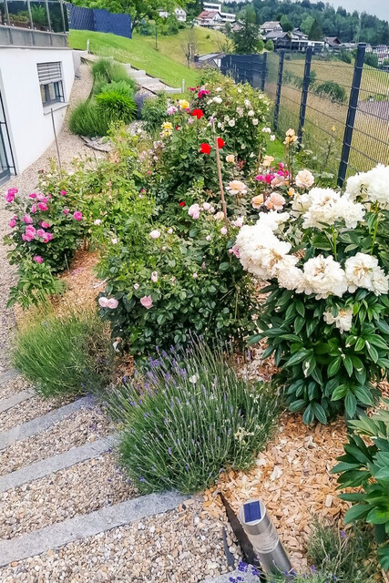 Imposantes Einfamilienhaus & 4 Zi.-Whg. im Hampton-Stil mit Wintergarten, Doppelgarage uvm.